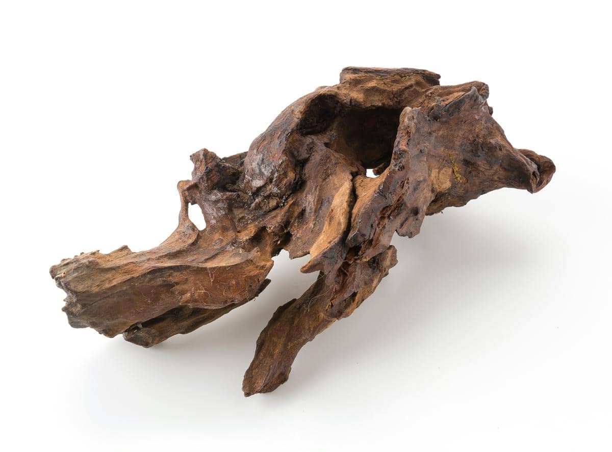 Apa Itu Akigalawood? 