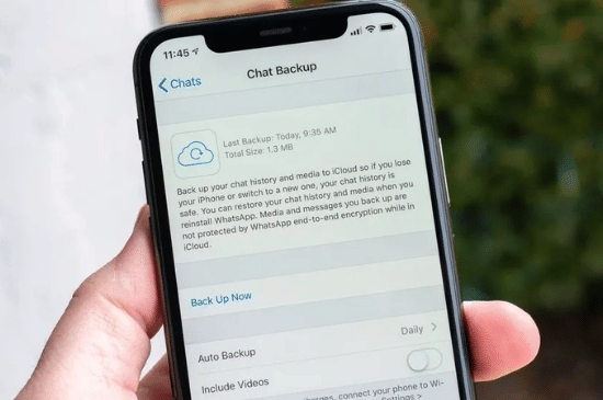 Salinan dari Salinan dari BEFORE_20260211_162505_0003.png