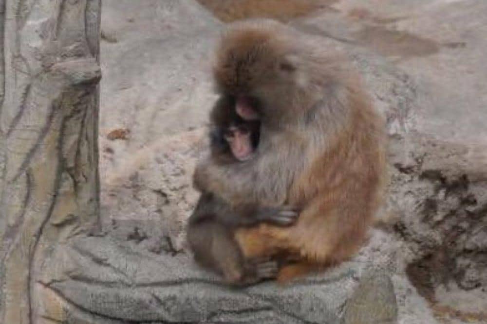 punch perlahan diterima kelompoknya