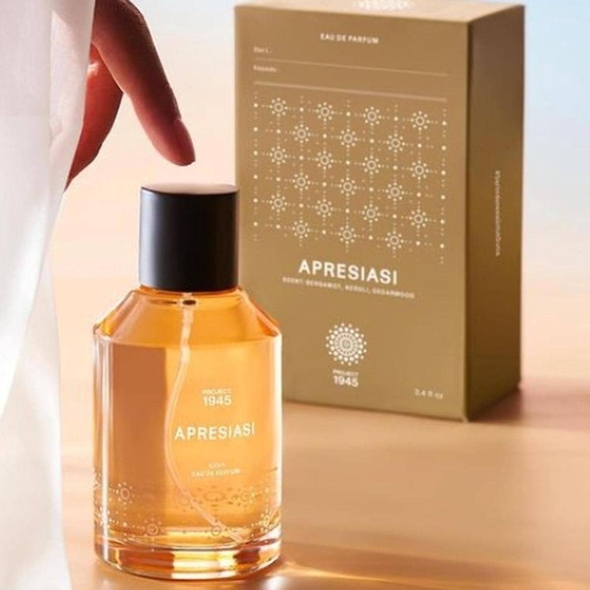  Project 1945 Apresiasi