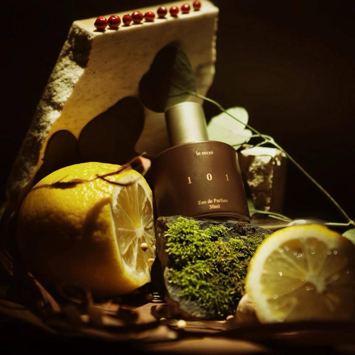 Le Secre Tranquil Forest