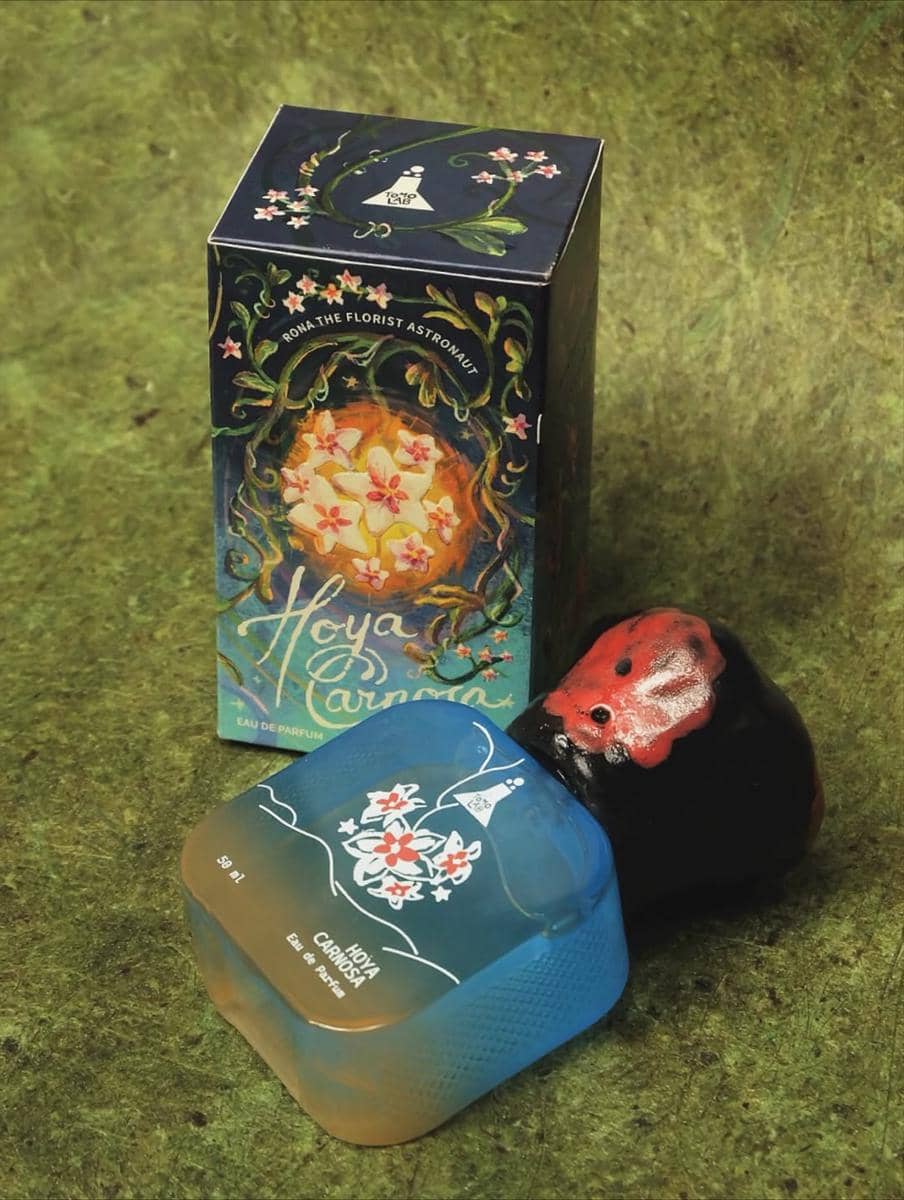 Tomolab Rona the Florist Astronaut: Hoya Carnosa