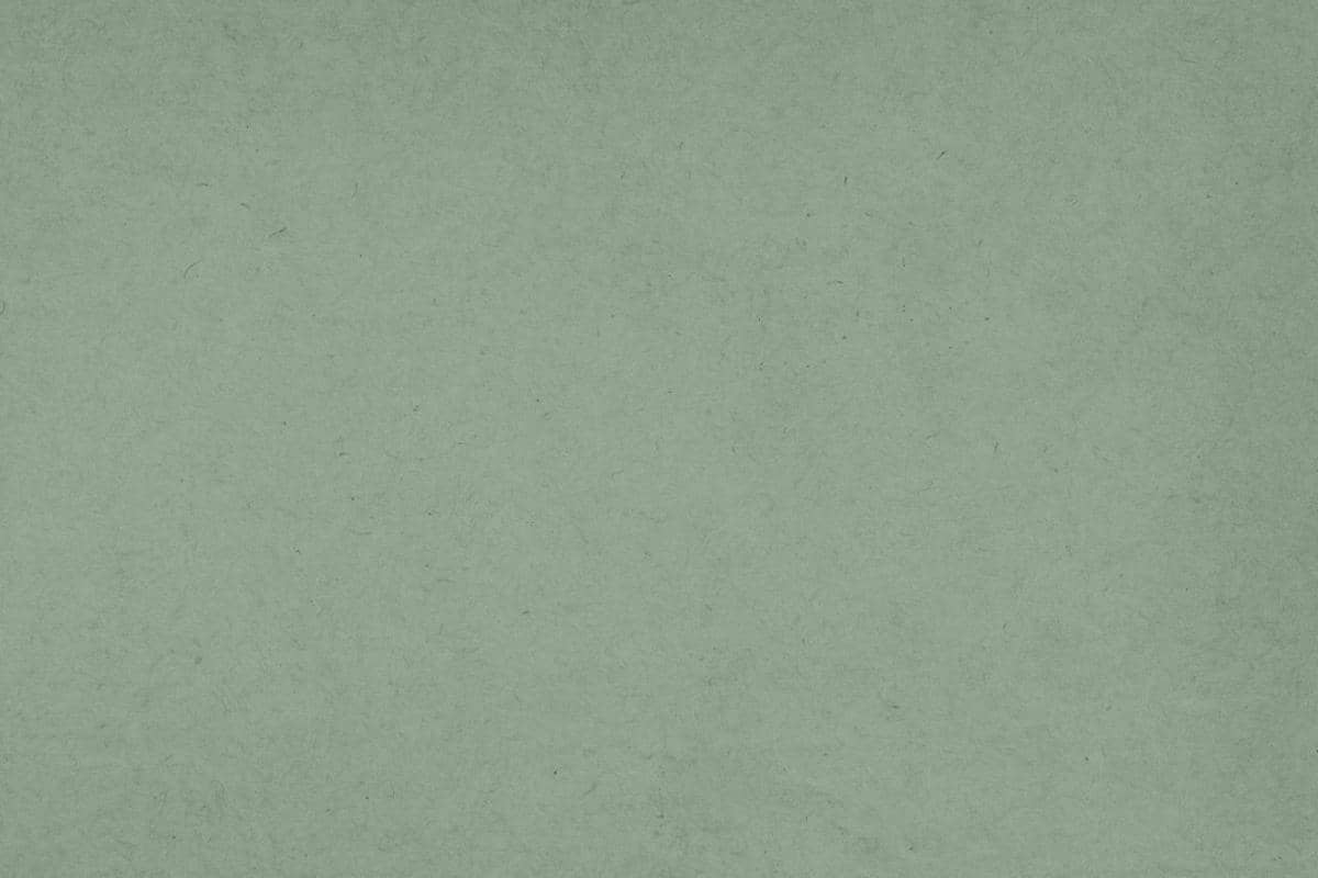 warna cat rumah minimalis terbaru 2026