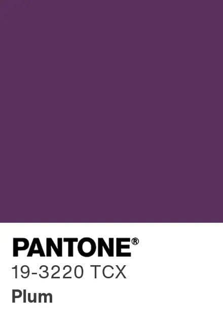 Pantone Plum
