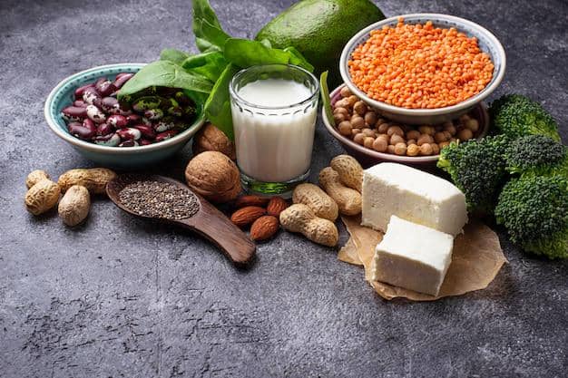 ilustrasi protein nabati