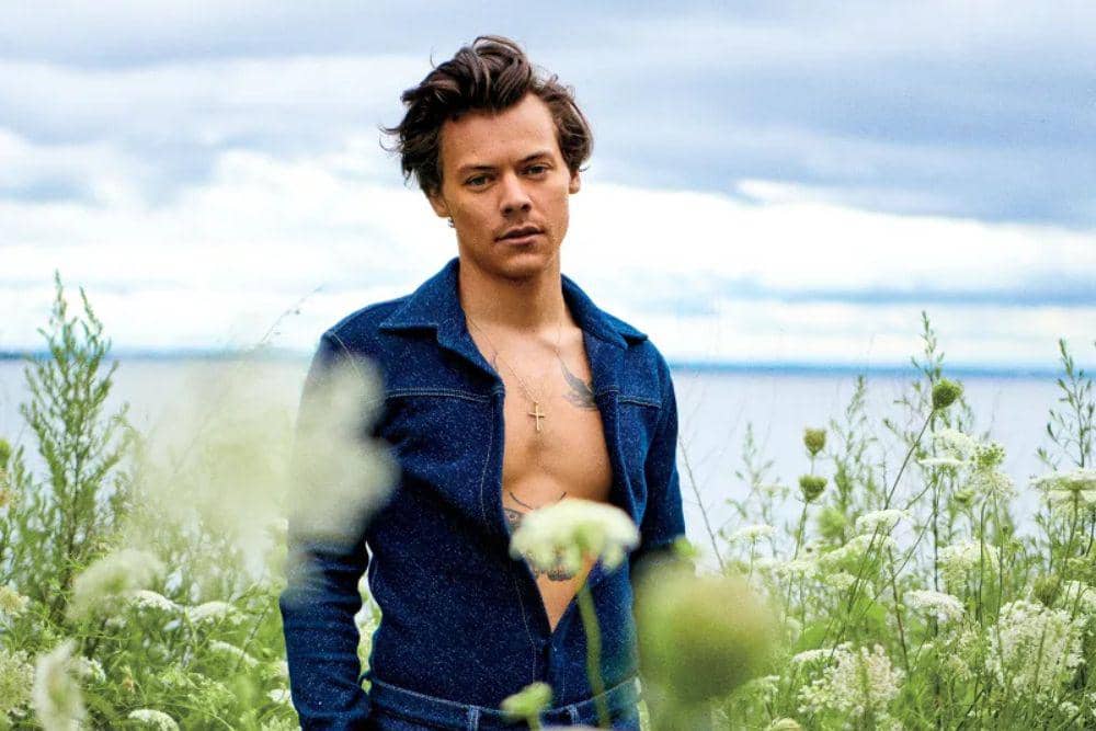 Harry Styles Ungkap Ingin Menikah dan Punya Keluarga Kecil