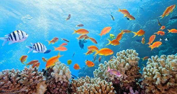 tempat wisata di Manado