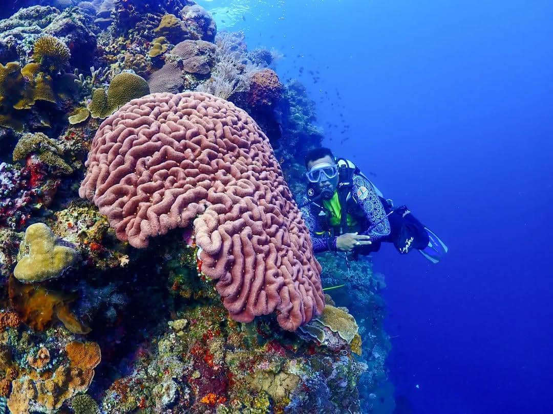 tempat wisata di Manado