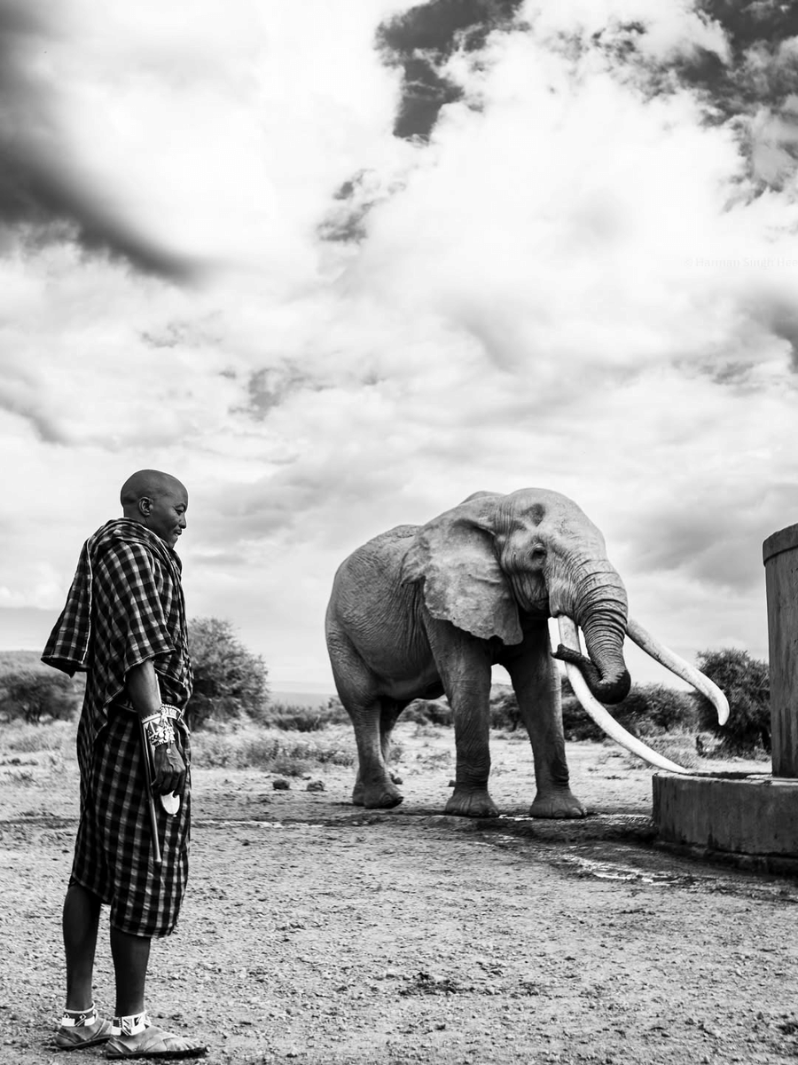 gajah craig super tusker