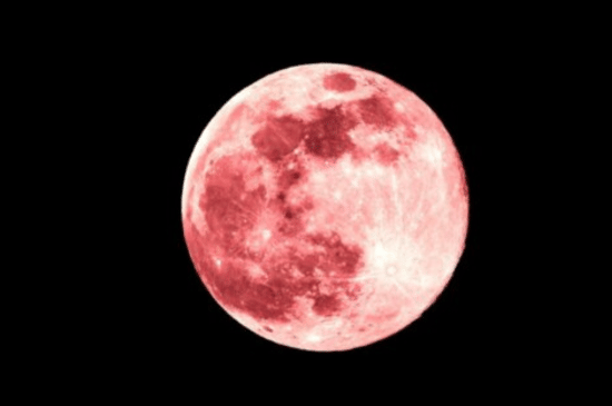 Pink Moon 2026 Muncul 2 April, Ini Lokasi dan Waktu Terbaik Menyaksikannya di Indonesia