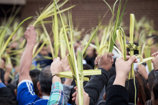 Salinan dari Salinan dari BEFORE_20260330_102152_0002.png