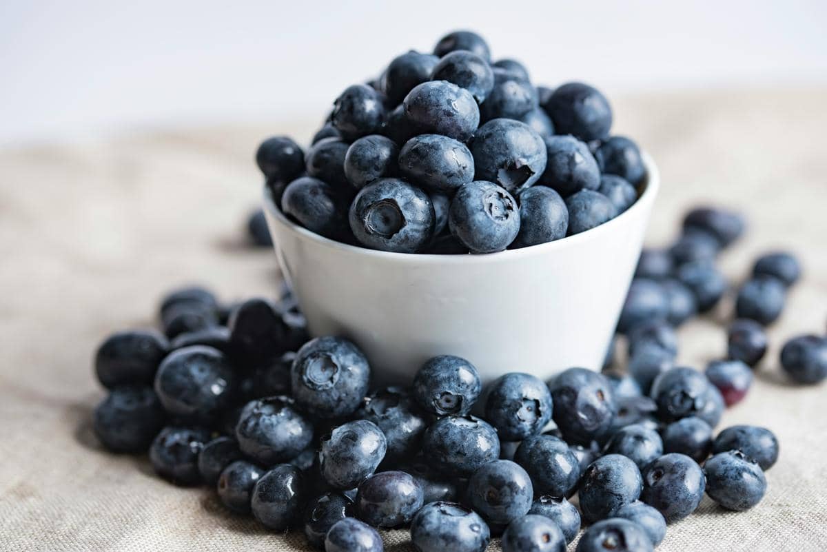 ilustrasi blueberry