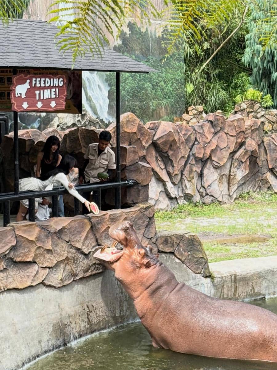 Fuji dan Gala liburan di Lembang Park & Zoo