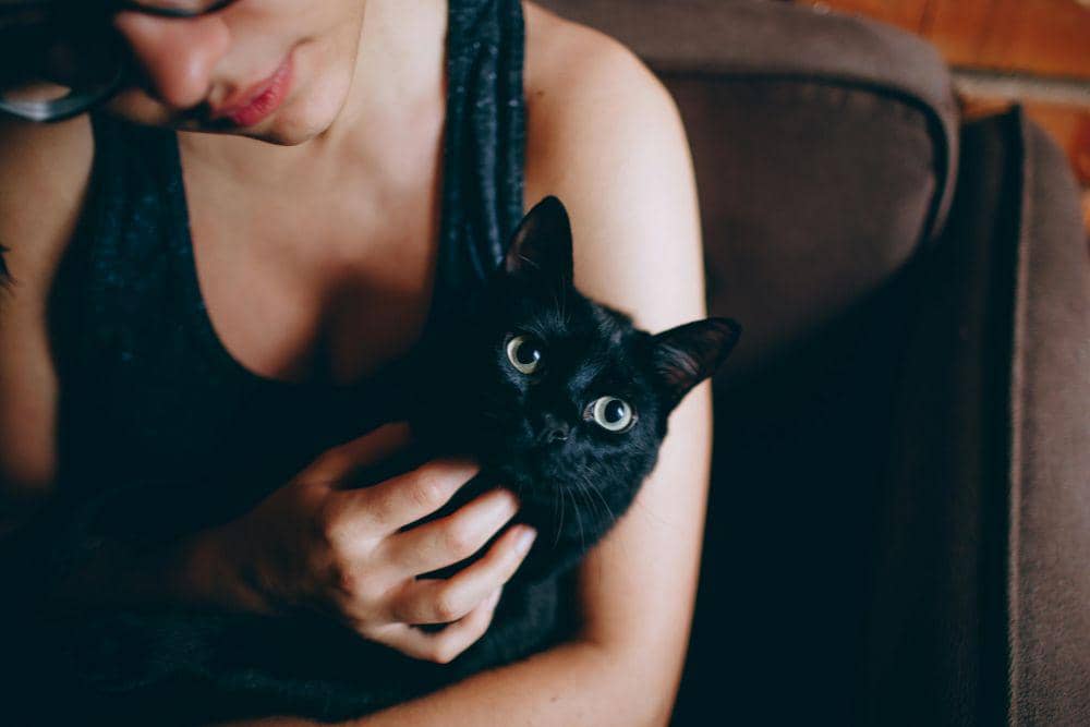 Black cat energy