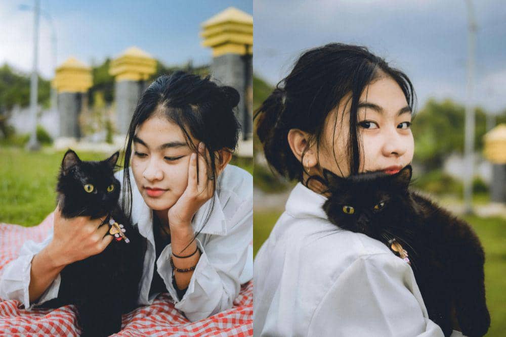 Black cat energy