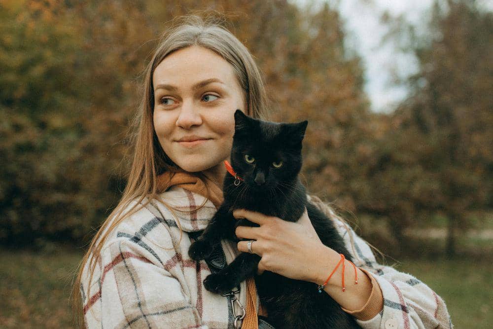 Kenalan dengan Black Cat Energy, Si Misterius yang Penuh Daya Tarik