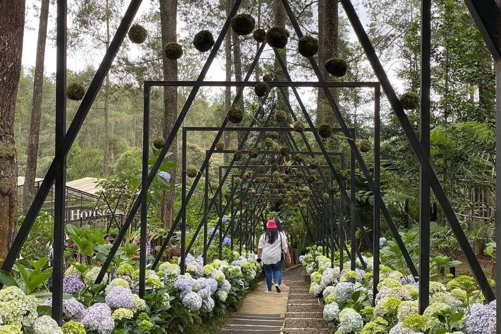 Rekomendasi Tempat Ngedate Romantis di Bandung