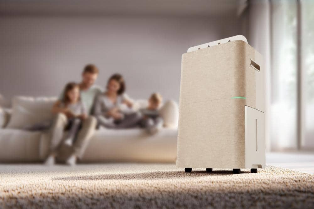 2 IN 1 DEHUMIDIFIER - 2.jpg