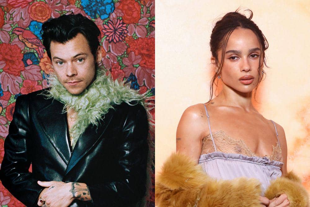 5 Perbandingan Keluarga Harry Styles dan Zoë Kravitz yang akan Menikah