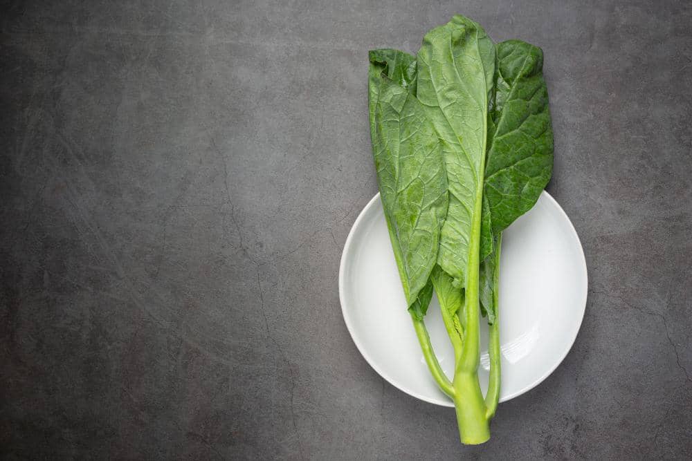 5 Manfaat Daun Kale untuk Kesehatan