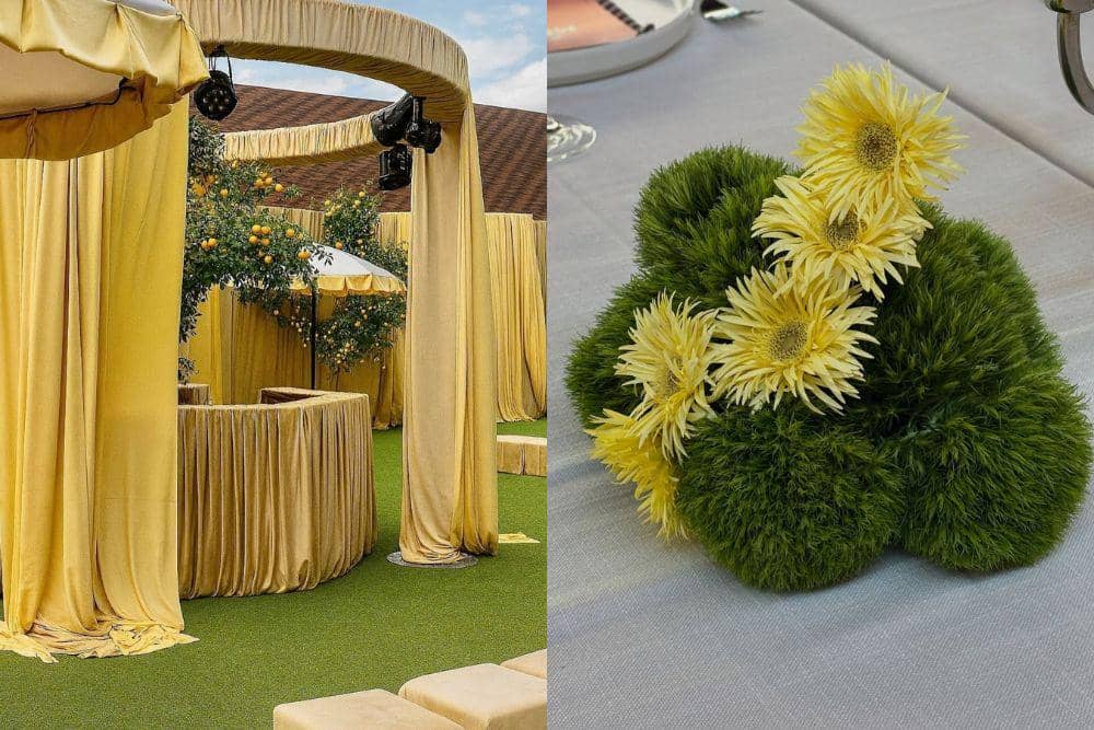 Fresh Green & Daffodil Yellow