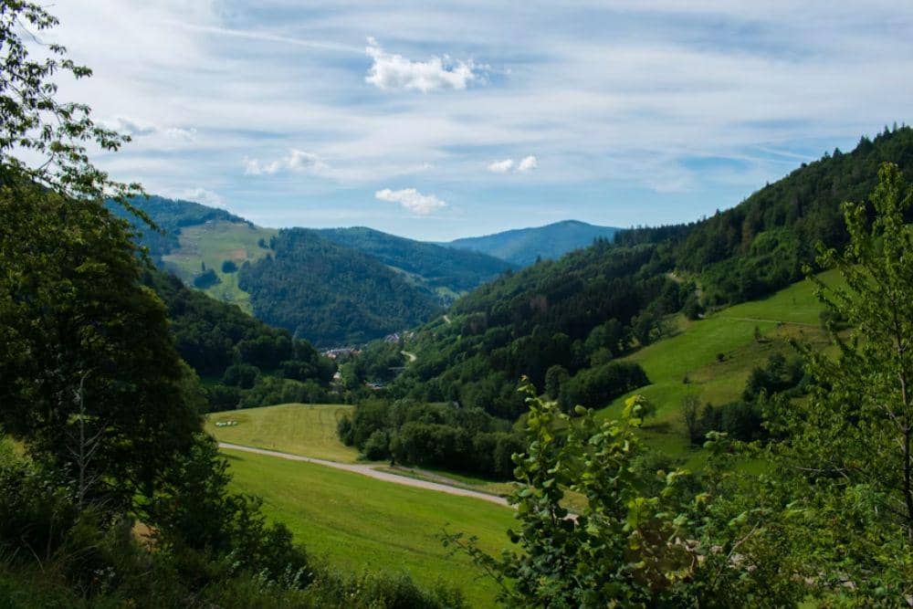 Black Forest, Schwarzwald, Jerman