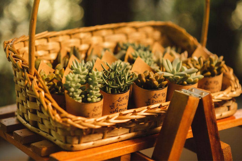 Souvenir Pernikahan Unik Bertema Wellness