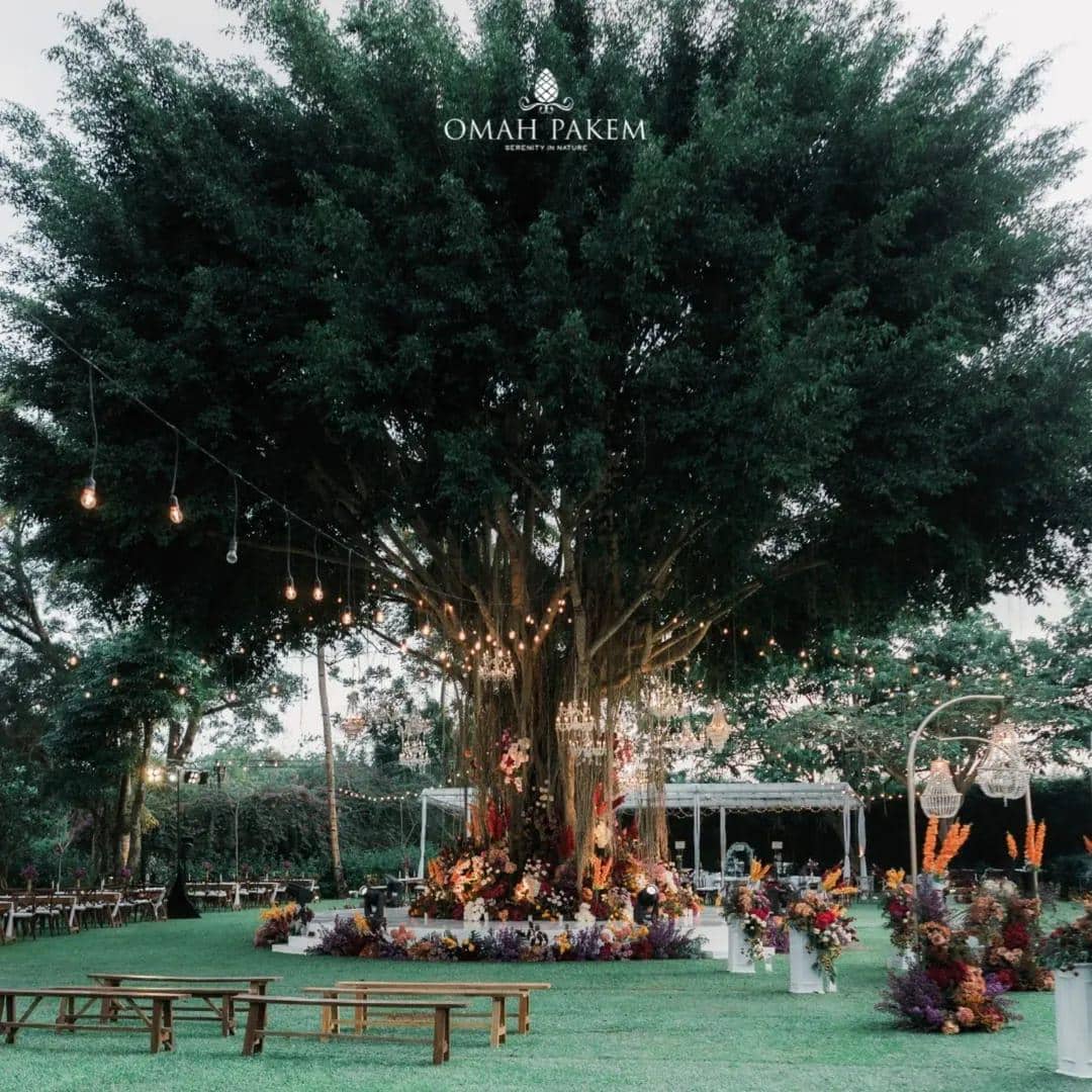venue pernikahan outdoor di Jogja