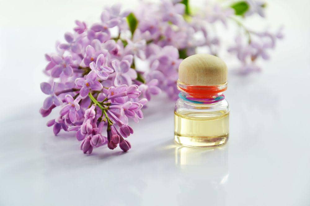 Souvenir Pernikahan Unik Bertema Wellness
