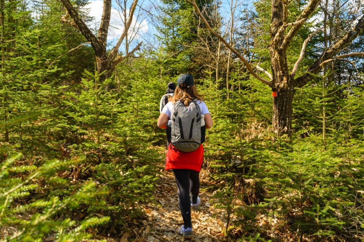 8 Tempat Trekking di Sentul dengan Pemandangan Alam Memukau