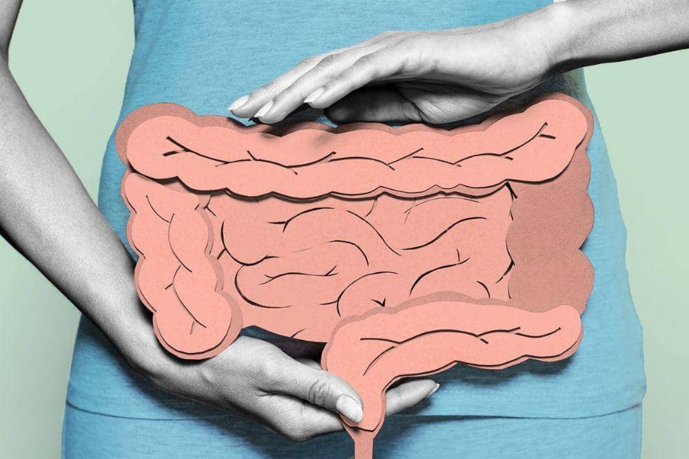 5 Cara Menjaga Kesehatan Usus untuk Mendukung Kesehatan Kulit