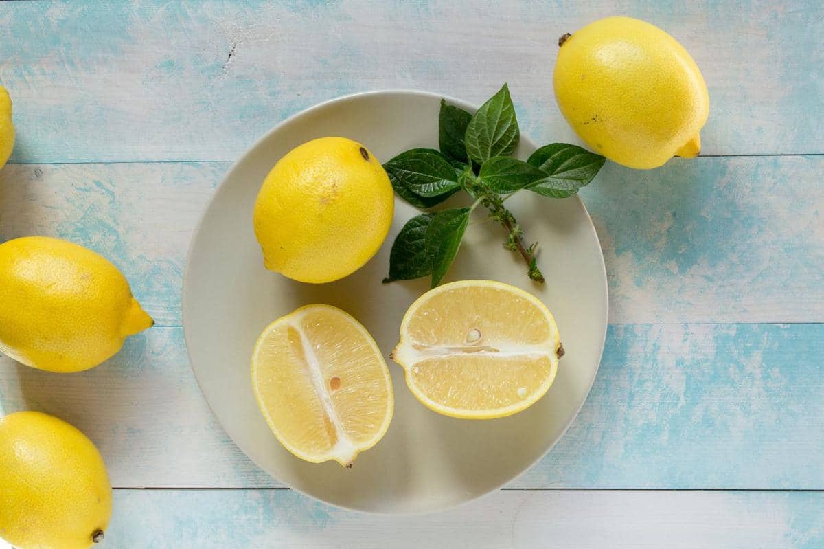 ilustrasi lemon