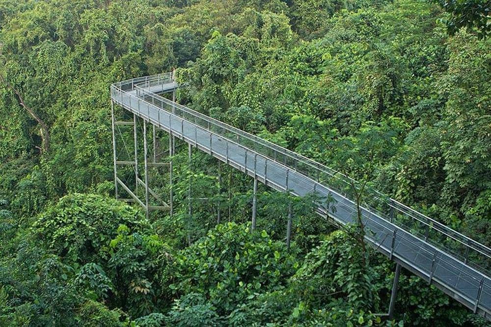 Southern Ridges.jpg