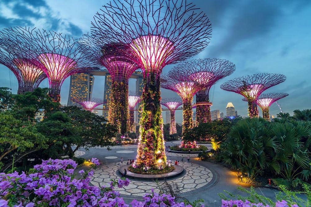 Gardens.jpg