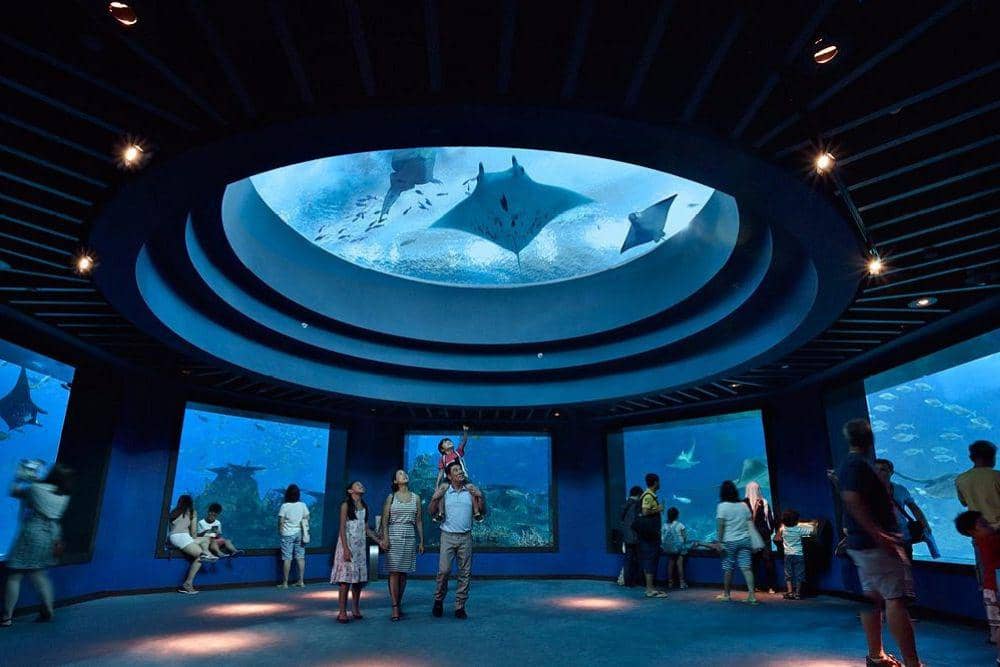 SINGAPORE OCEANARIUM