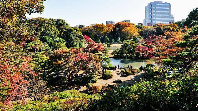 rekomendasi tempat wisata di Jepang musim gugur