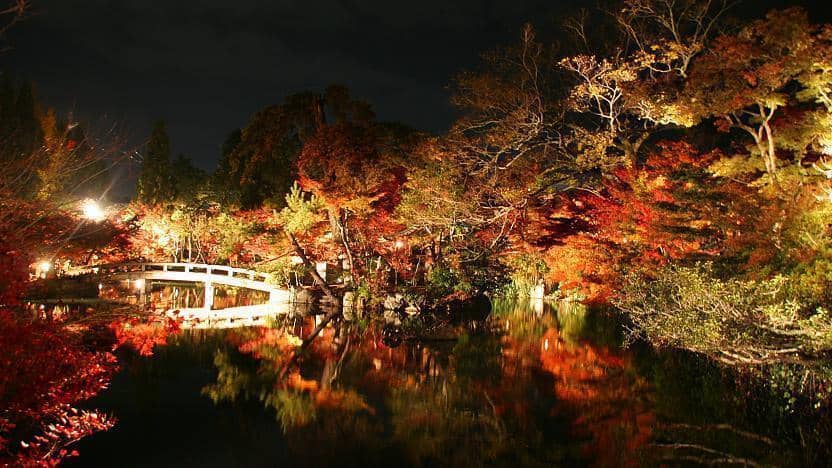 rekomendasi tempat wisata di Jepang musim gugur