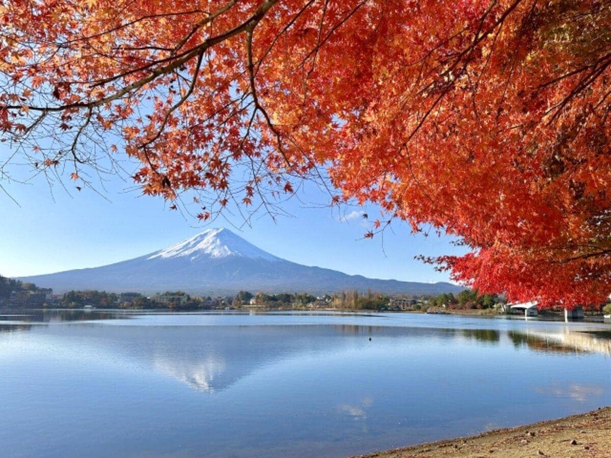 rekomendasi tempat wisata di Jepang musim gugur