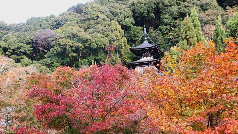 8 Rekomendasi Tempat Wisata di Jepang Musim Gugur, Cocok untuk Momiji!