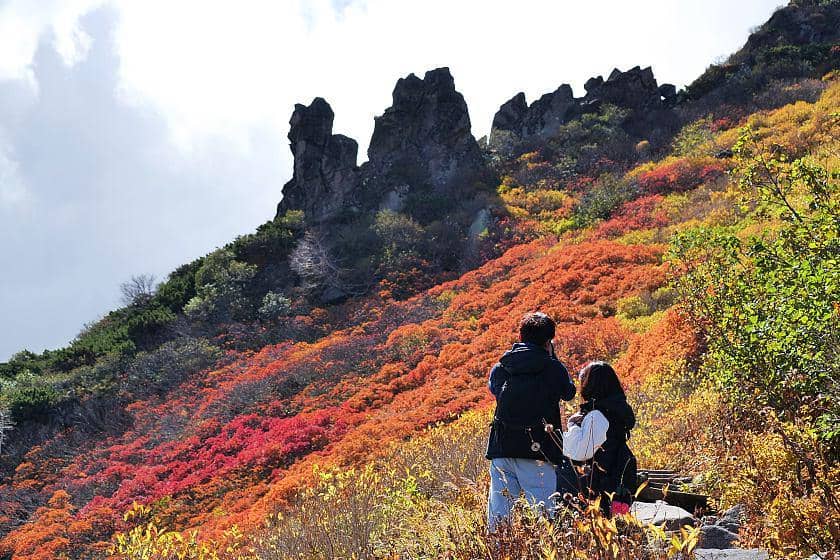 rekomendasi tempat wisata di Jepang musim gugur