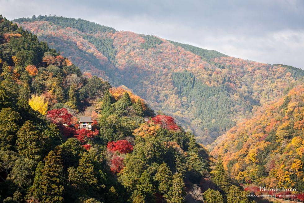 rekomendasi tempat wisata di Jepang musim gugur