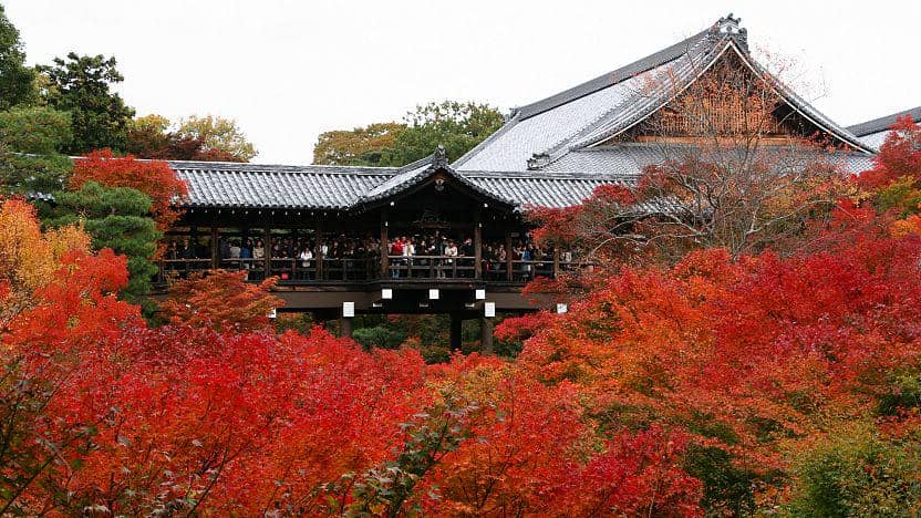 rekomendasi tempat wisata di Jepang musim gugur