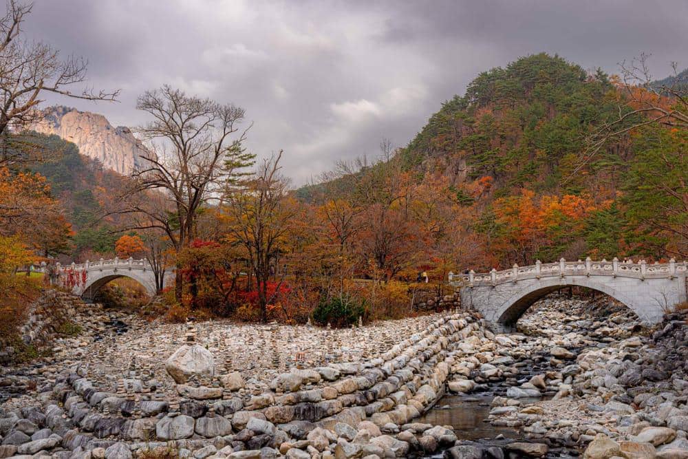 museumofwonder.com Tempat Wisata Musim Gugur di Korea Selatan