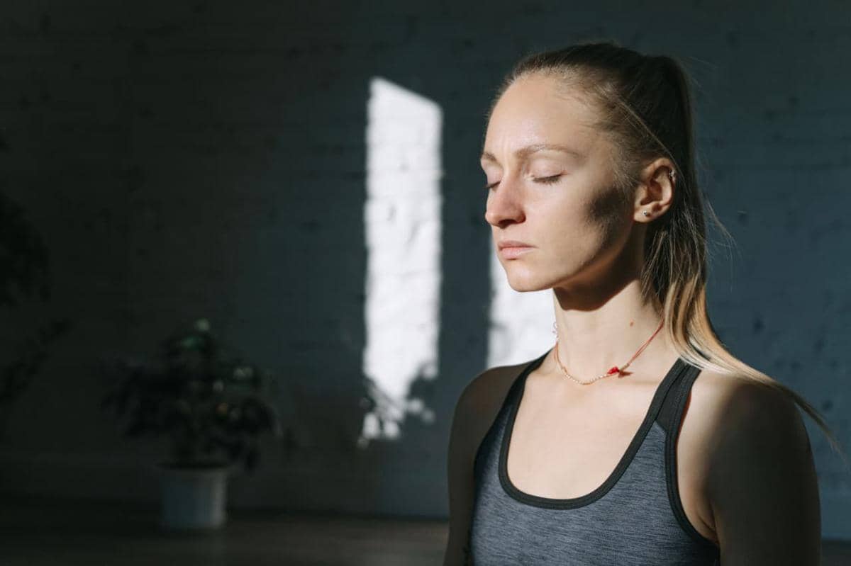 wellness adalah