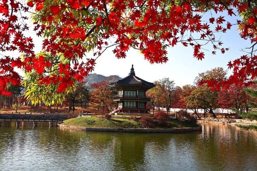 7 Tempat Wisata Musim Gugur di Korea Selatan yang Wajib Masuk Bucket List