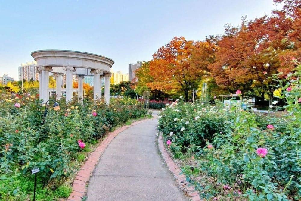 koreatodo.com Tempat Wisata Musim Gugur di Korea Selatan