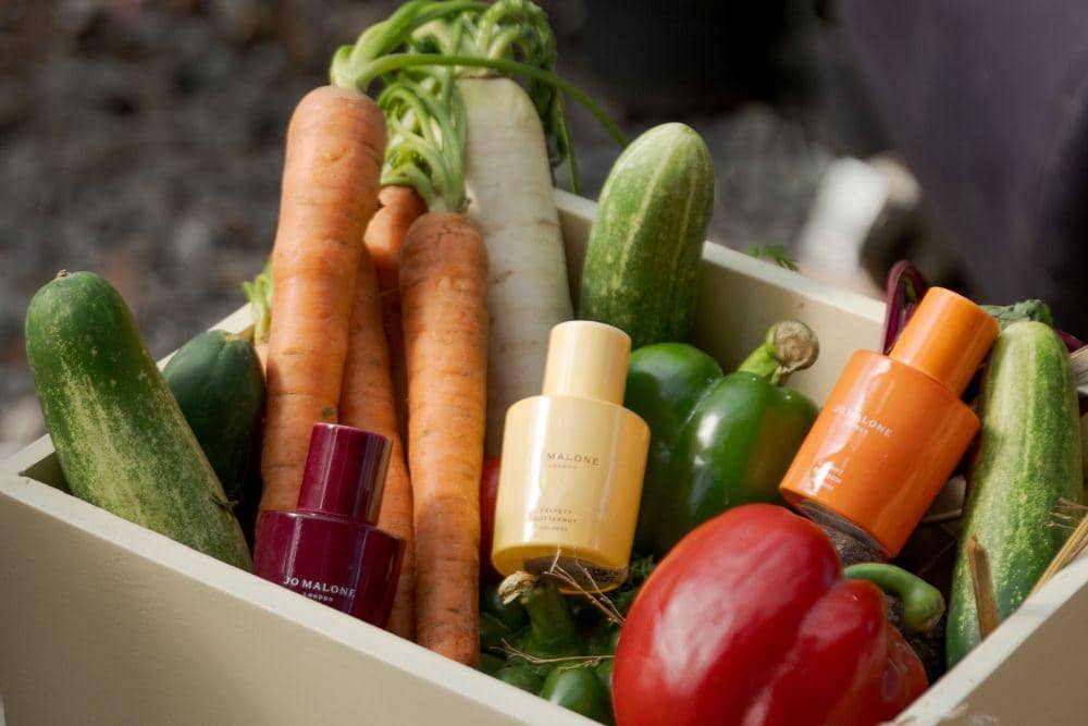 Jo Malone London Hadirkan Koleksi Veggies, Wewangian yang Terinspirasi Kebun Sayur Inggris