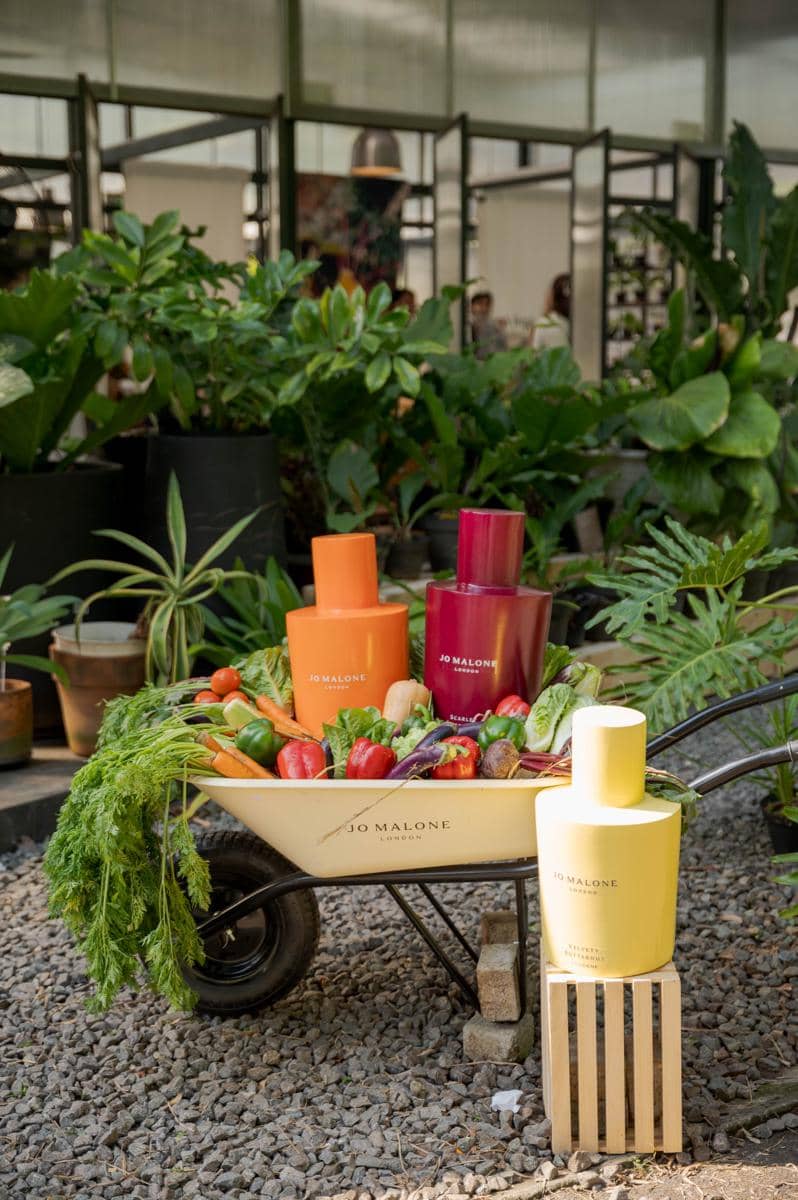 dok. Jo Malone
