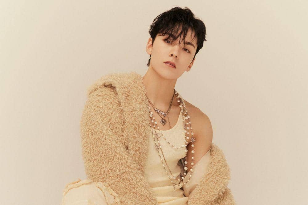 Profil Vernon ‘SEVENTEEN’