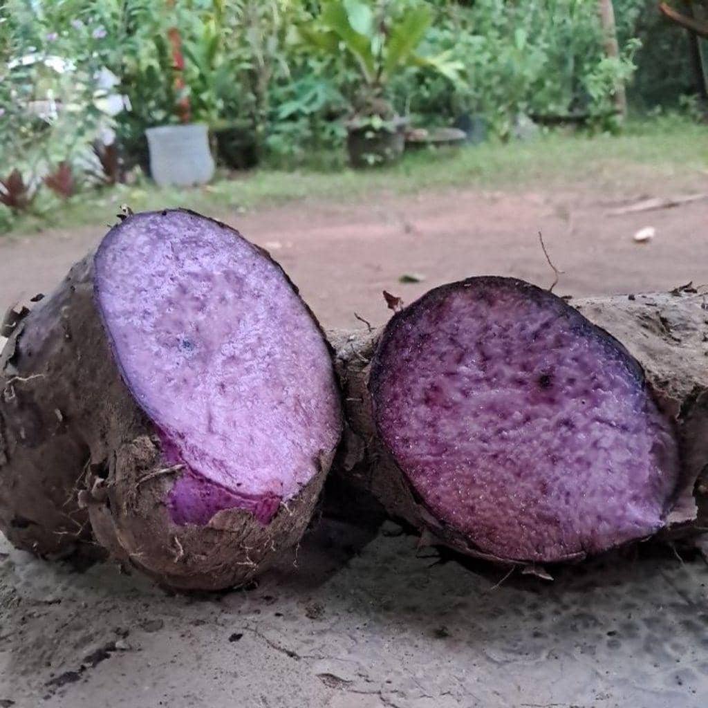 karbohidrat pengganti nasi